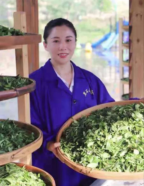 【梧州工匠】石濡菲：擇一茶，修一技，終一生